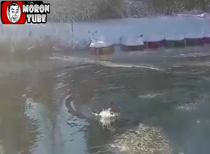 Video :A man rescues a puppy that got stuck in frigid river water